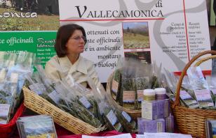 RIEVOCAZIONI STORICHE