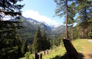 Valle Strino e la Guerra Bianca