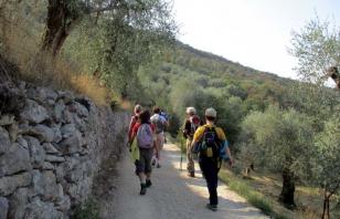 Monte Luppia e Punta San Vigilio