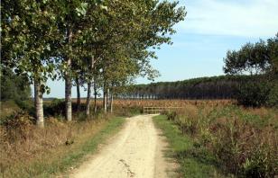 30 settembre 2018 bicicletta: SULLE TRACCE DI SIGERICO TRA CORTE SANT'ANDREA E PIACENZA