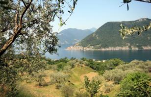 In Cammino sul Lago d'Iseo