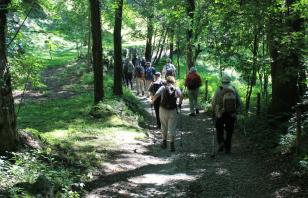 IMG_3773.jpg