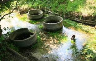 In bicicletta tra i fontanili cremaschi. Storia e biodiversità.