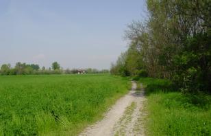 LA CICLABILE DEI FONTANILI